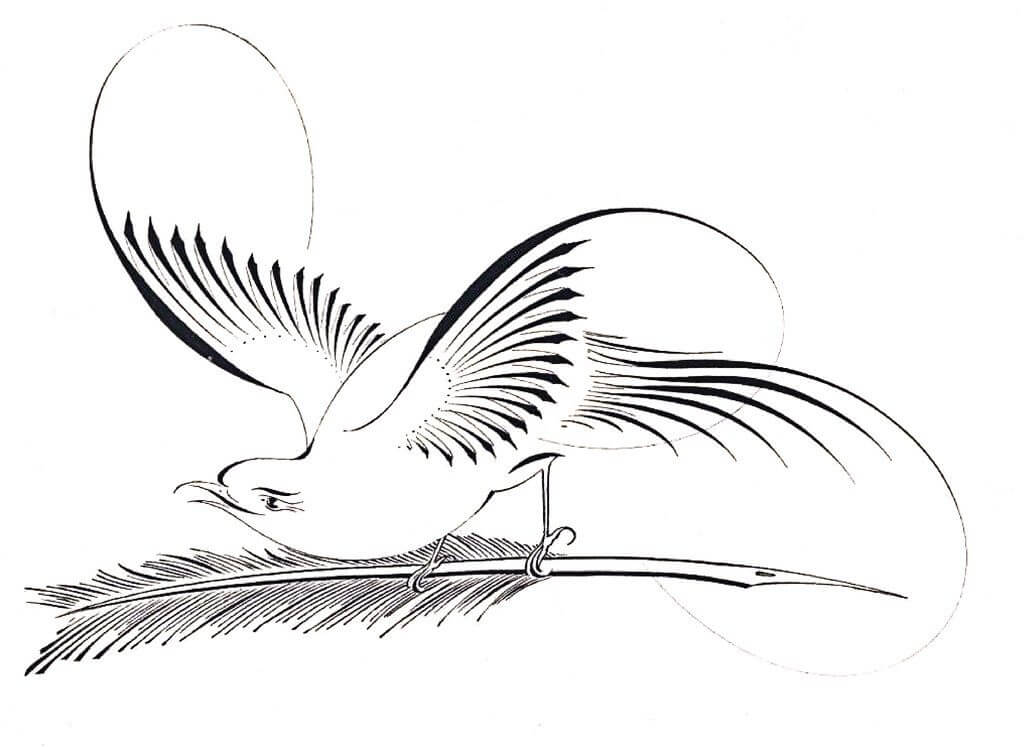 Drawing of a bird holding a feather quill in its claws.