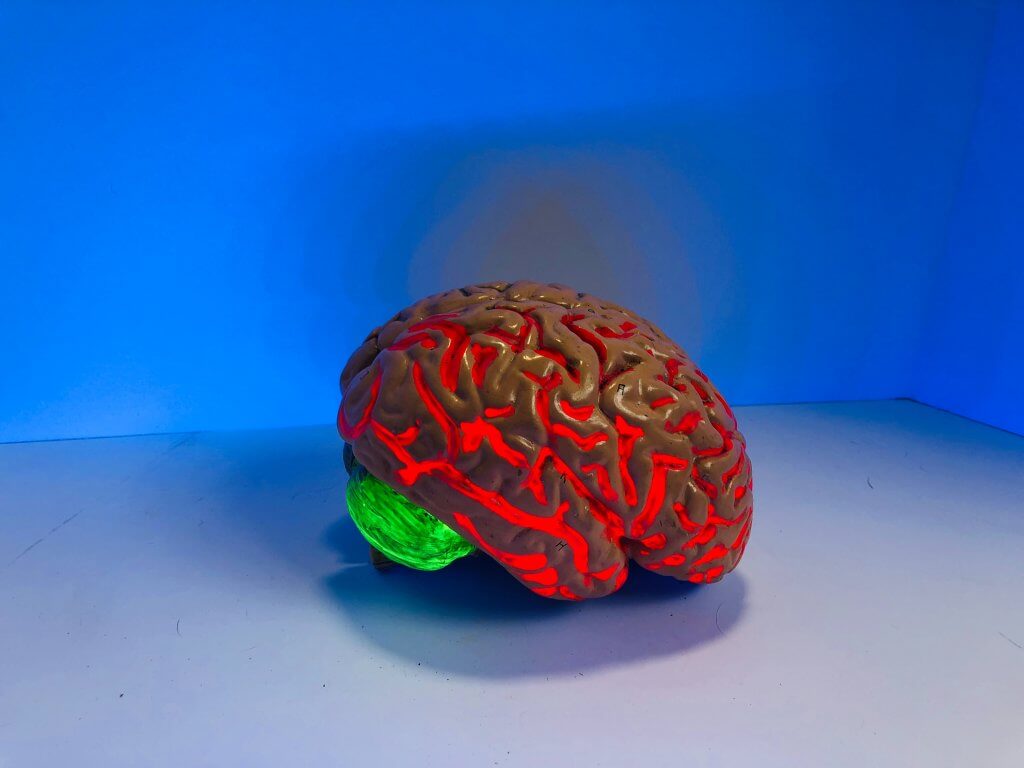 A model of a human brain, lit up red and green from within.